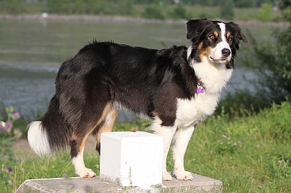 Crissy - Bild 2