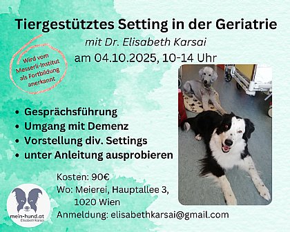 Flyer TIERGESTÜTZTES SETTING IN DER GERIATRIE