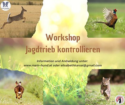 JAGDTRIEB DES HUNDES KONTROLLIEREN - WORKSHOP