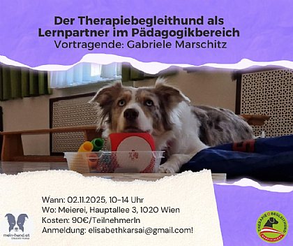 Flyer DER THERAPIEBEGLEITHUND ALS LERNPARTNER IM PÄDAGOGIKBEREICH